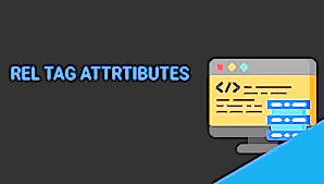 XFN Nedir? XFN Bağlantı Türleri Nelerdir?